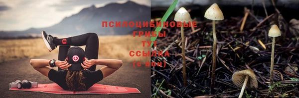 гидропоника Абинск