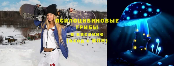 мдпв Алзамай